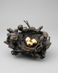 Anne Ricketts Nest