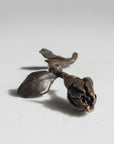 Anne Ricketts rosebud