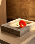 Daniela Tray in Biscotti