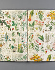 Flora Gift & Creative Paper Book