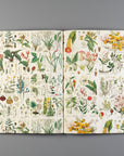 Flora Gift & Creative Paper Book