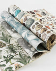 Natural History Gift & Creative Paper Book