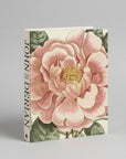 Signed John Derian Picture Book II