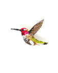 Hand Beaded Brooch