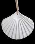 White Shell Amulet .08 on Nude Silk