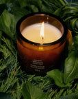 ancient agrigento olive tree candle flamingo estate