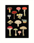 Lucca Paperworks Greeting Card