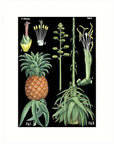 Lucca Paperworks Greeting Card