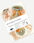 Art Forms in Nature Gift and Creative Paper Book