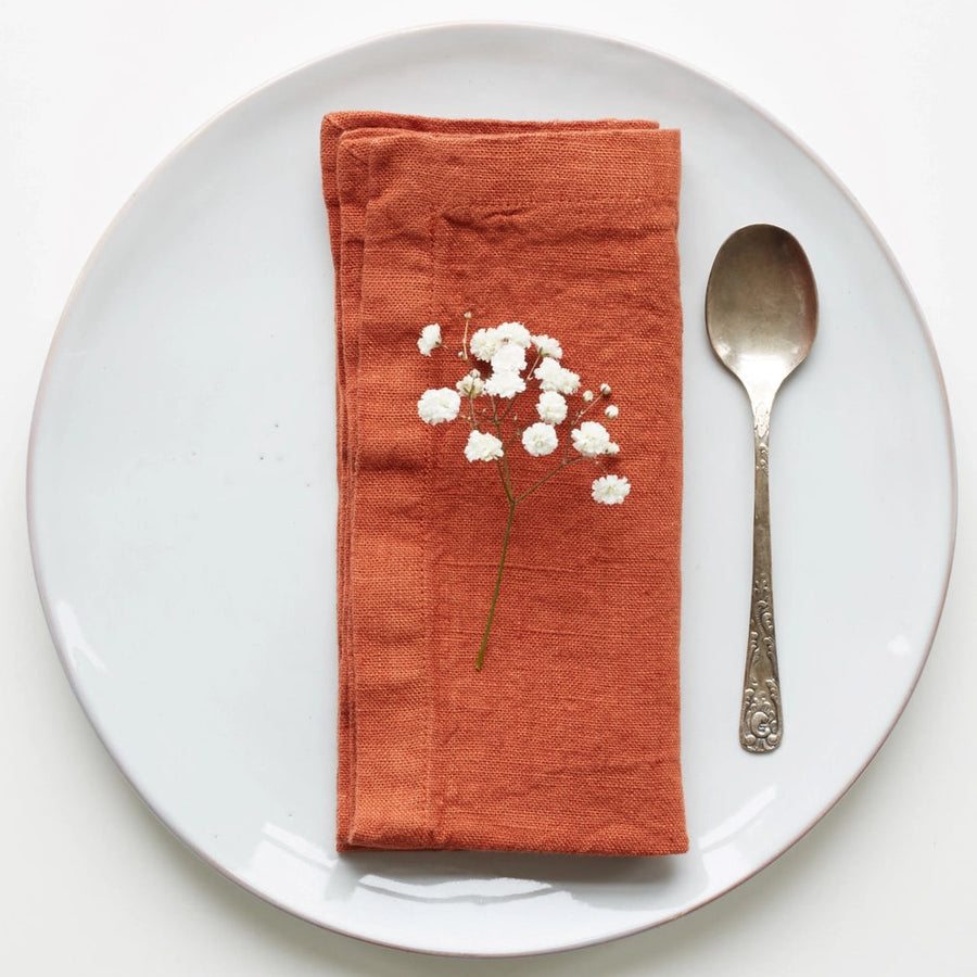 Baked Clay Linen Napkins Set of 4