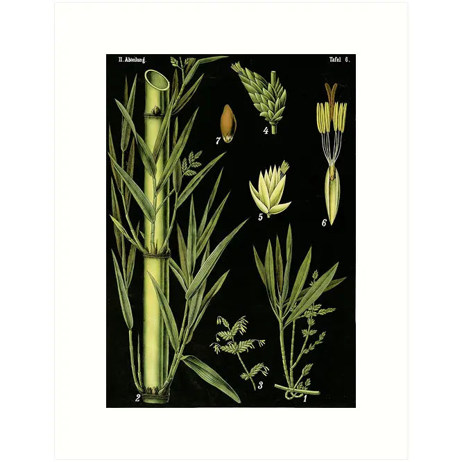 Lucca Paperworks Greeting Card