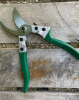 Carbon Steel Pruner Shears