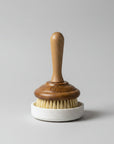 dish soap brush