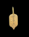erica molinari north star charm