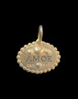 Erica molinari amor dog charm