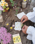 Flower Press-Buttercup5
