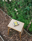 Flower Press-Buttercup6