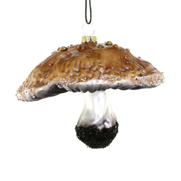 Foraged Mushroom