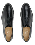 Jamie Haller Draper Oxford in Black