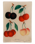 John Derian Cherries Mini Tray