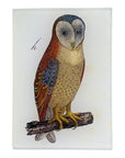 John Derian Owl Tray