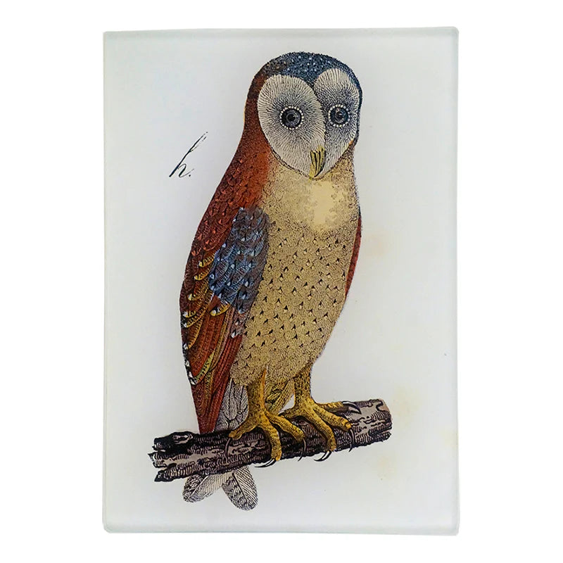 John Derian Owl Tray