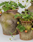 Medium Strawberry Pot