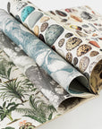 Natural History Gift & Creative Paper Book