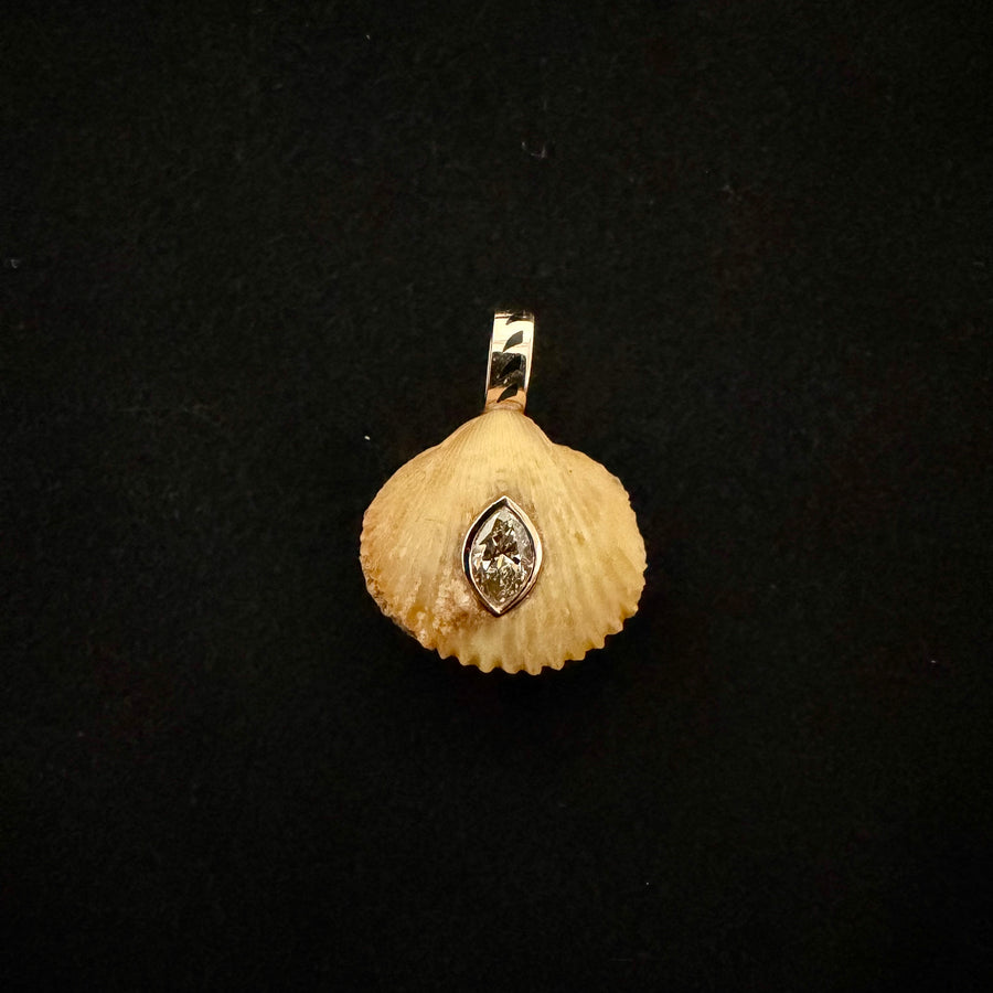 Natural Anadara Charm with Diamond