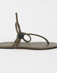The String Theory in Olive