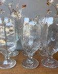 Vintage Chivarly Glasses
