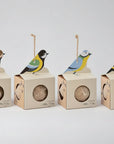 bird feeder