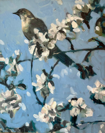 bluebird by jeff peters