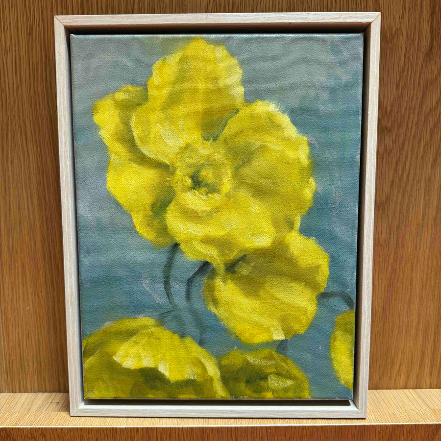 daffodil 1 jeff peters