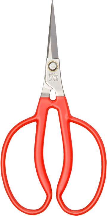 Grape Snips
