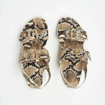 jamie haller double buckle sandal python
