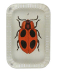 John Derian Big Dot Ladybug Paperweight