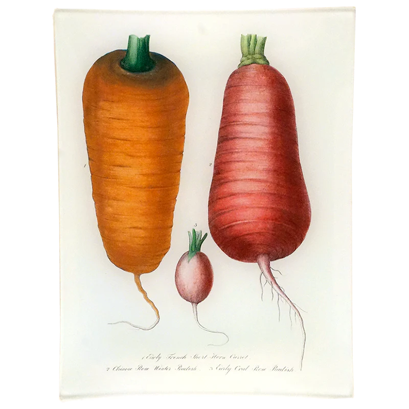 John Derian Short-Horn Carrot & Radishes Tray