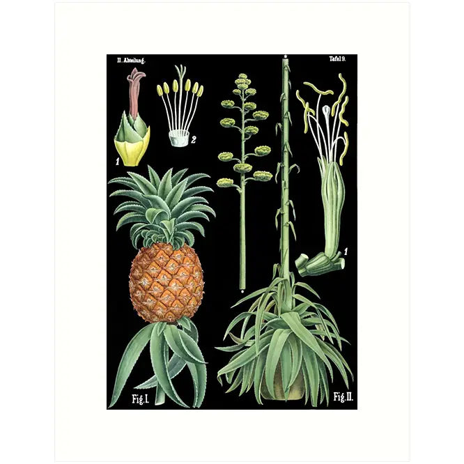 Lucca Paperworks Greeting Card