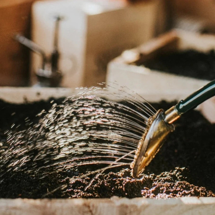 The Rowley Ripple Watering Can
