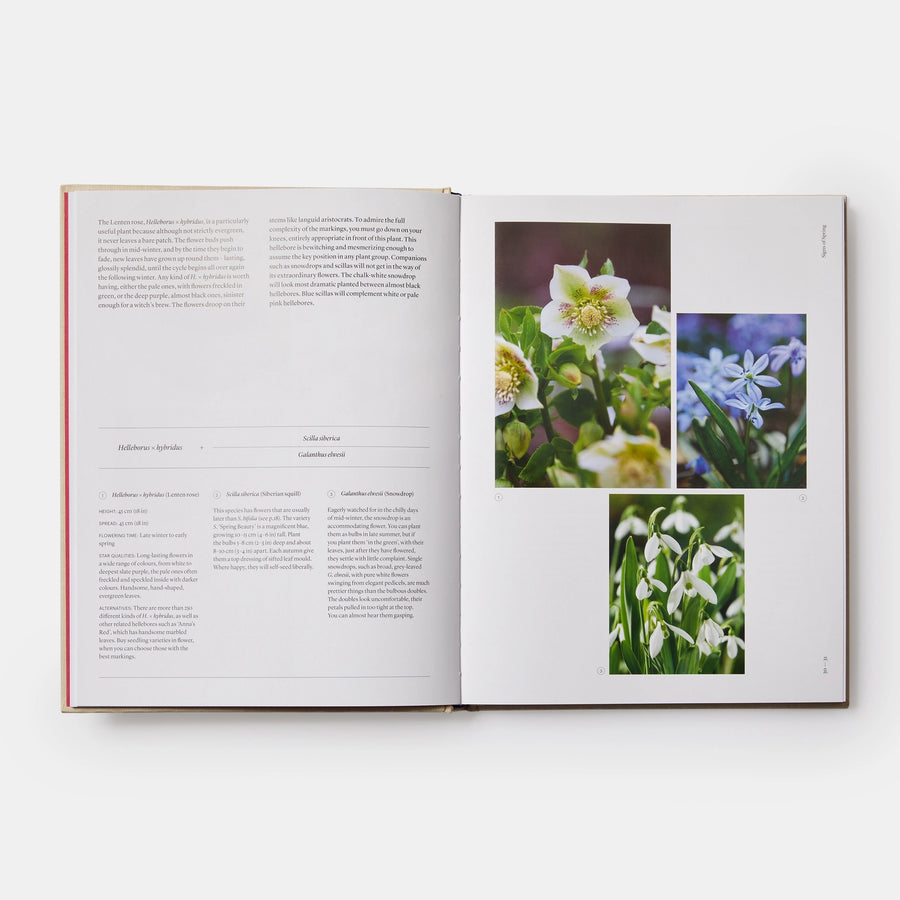 The Seasonal Gardener